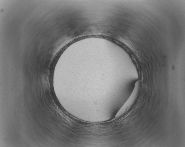X0000062881452200602101704