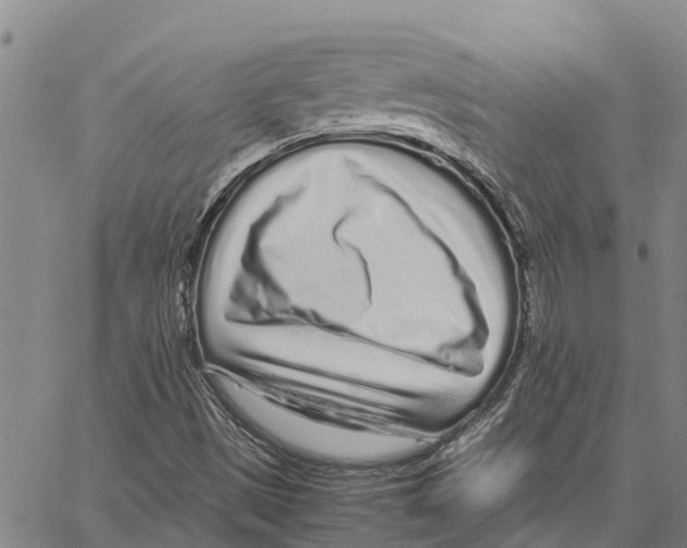 X0000062881497200602101703