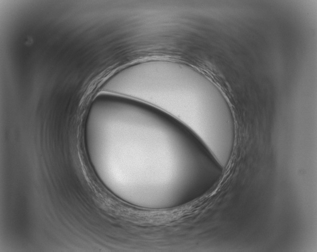 X0000062890001200601131029