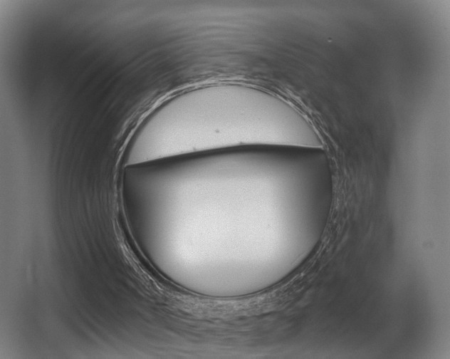 X0000062890002200601131029