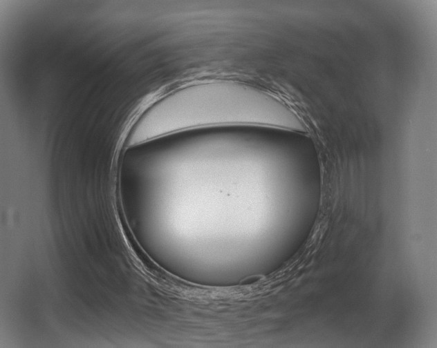 X0000062890003200601131029