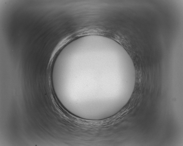 X0000062890004200601131029
