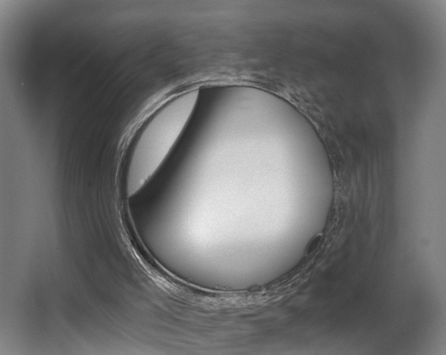 X0000062890005200601131029