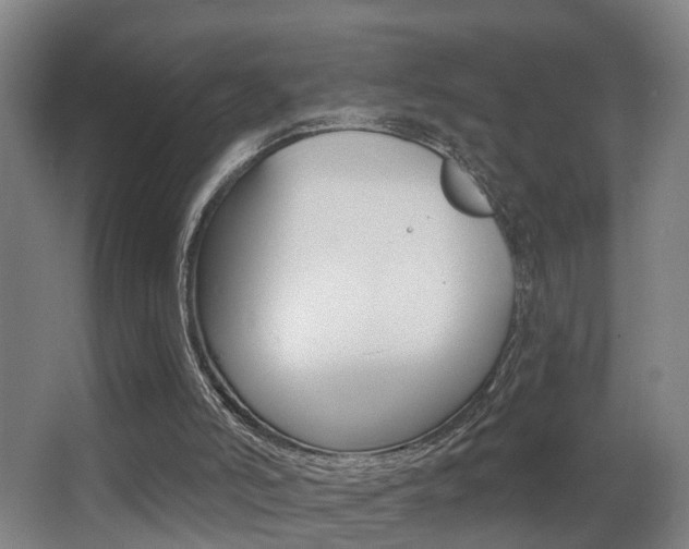 X0000062890006200601131029