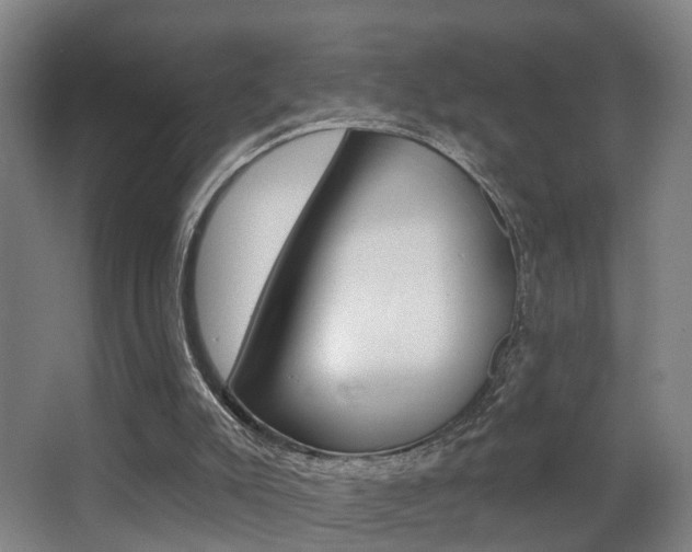 X0000062890007200601131029