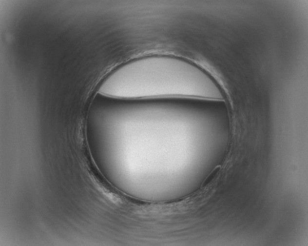 X0000062890009200601131029
