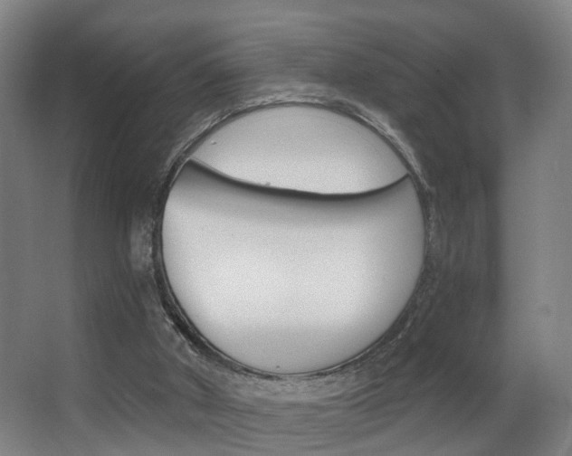 X0000062890010200601131029