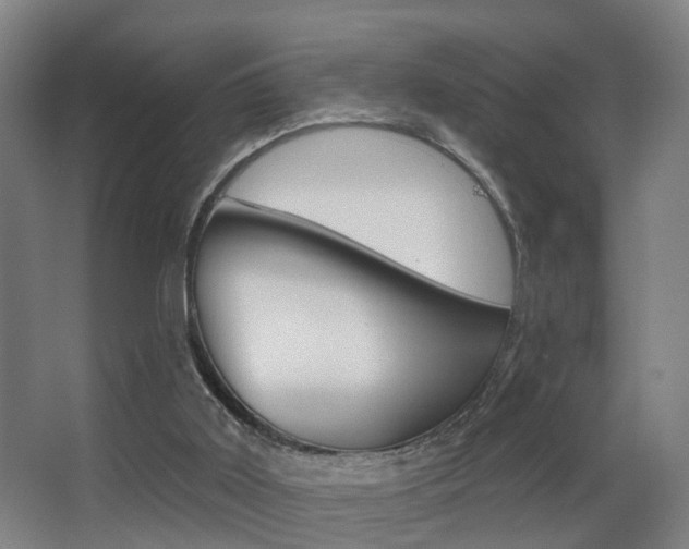 X0000062890011200601131029