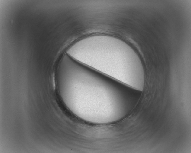 X0000062890020200601131029