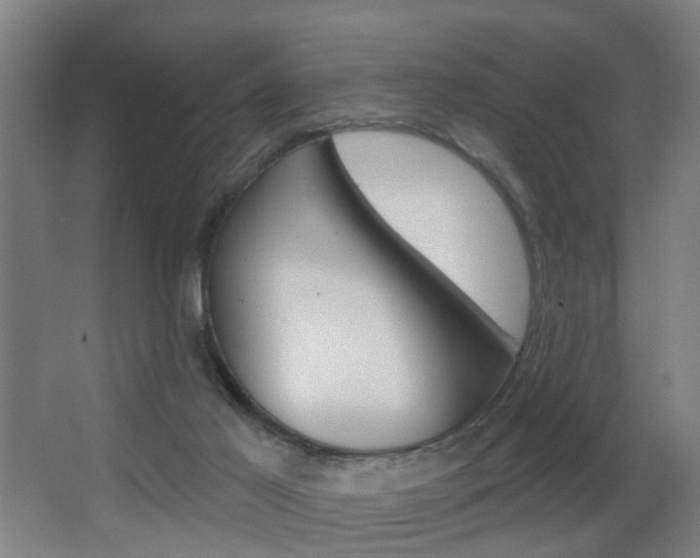 X0000062890021200601131029