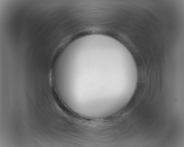 X0000062890024200601131029