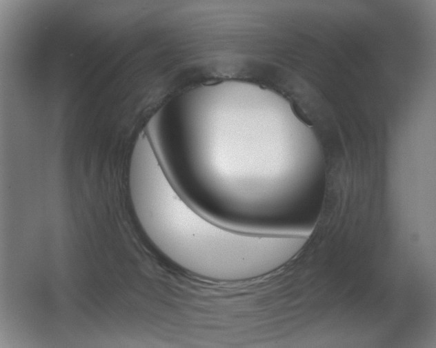 X0000062890031200601131029
