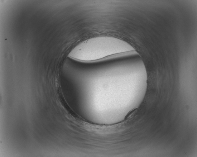 X0000062890039200601131028