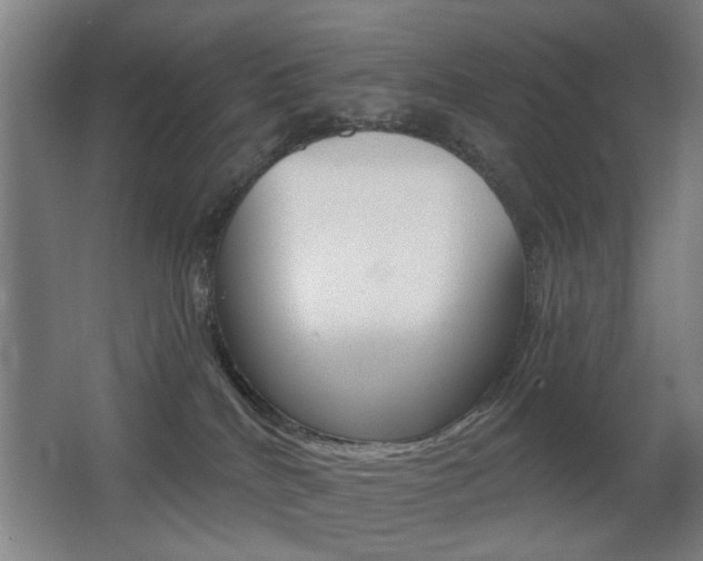 X0000062890040200601131028
