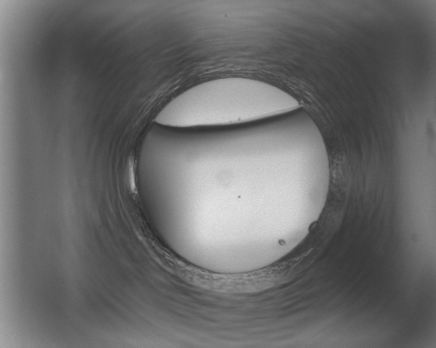 X0000062890046200601131028