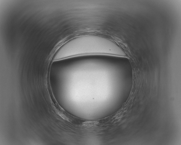 X0000062890051200601131027