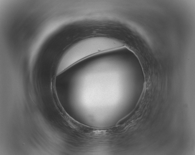 X0000062890052200601131028