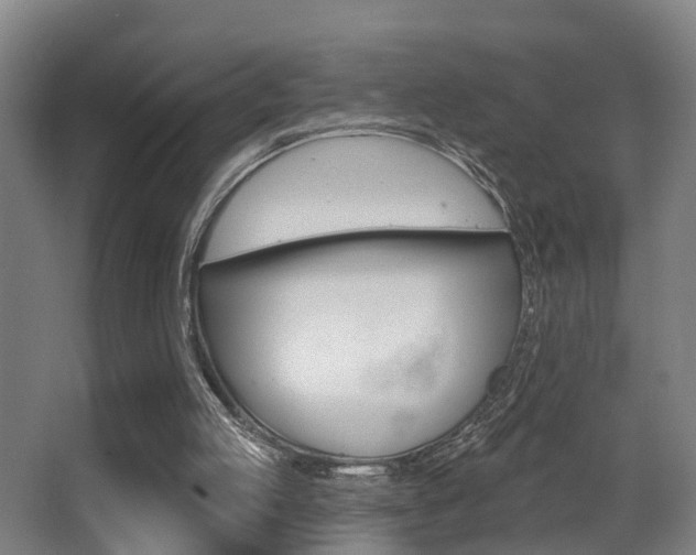 X0000062890053200601131028