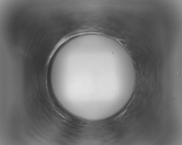 X0000062890056200601131028