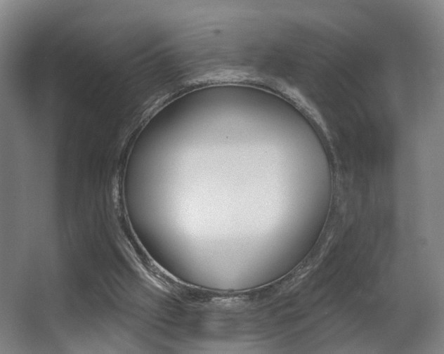 X0000062890057200601131028
