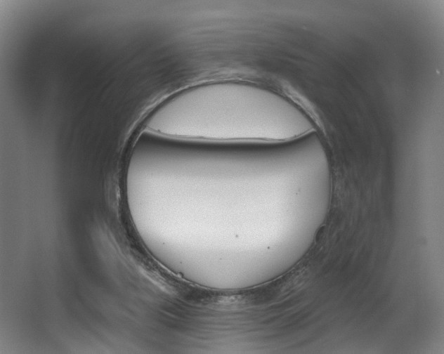 X0000062890059200601131028