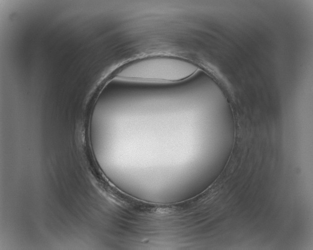 X0000062890060200601131028