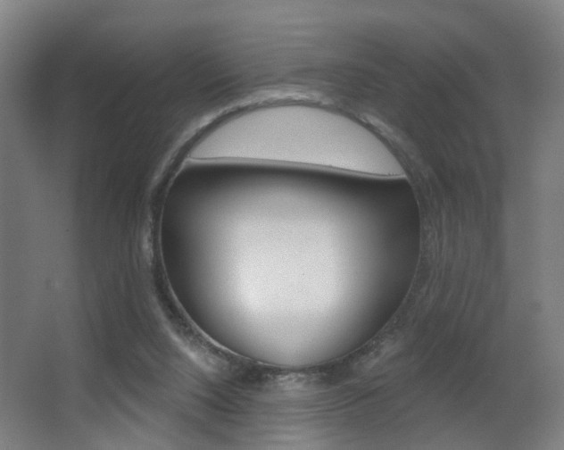 X0000062890064200601131028
