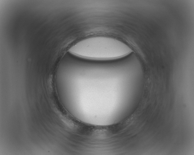 X0000062890066200601131028