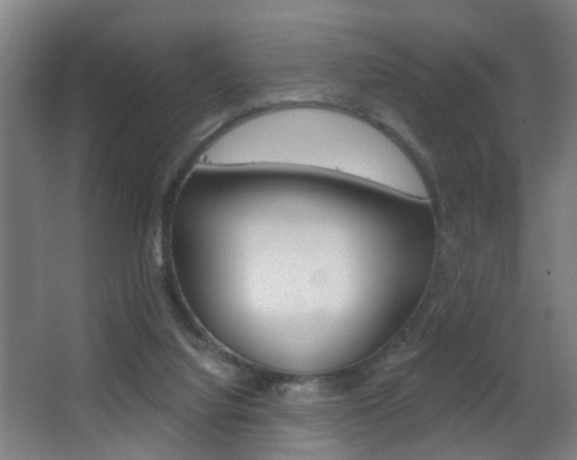 X0000062890068200601131028