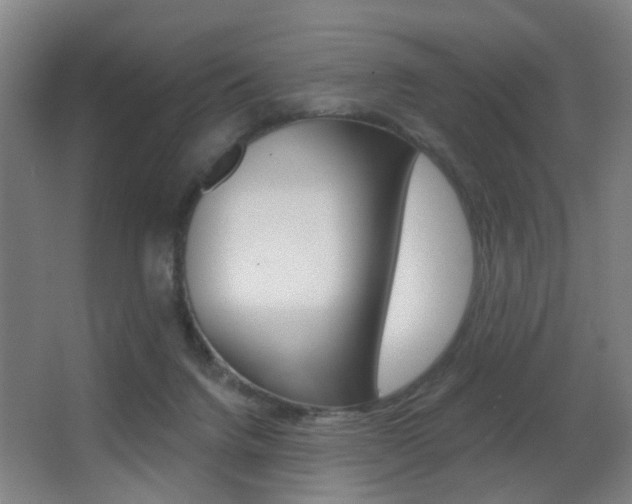 X0000062890072200601131028
