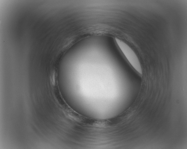 X0000062890076200601131028