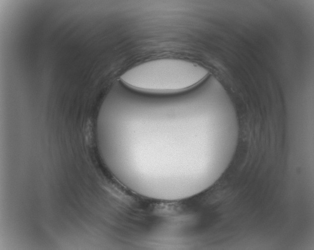 X0000062890077200601131028