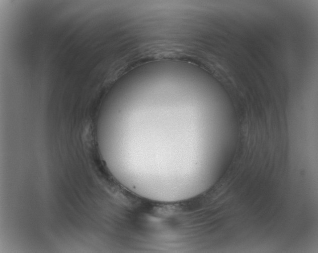 X0000062890079200601131028