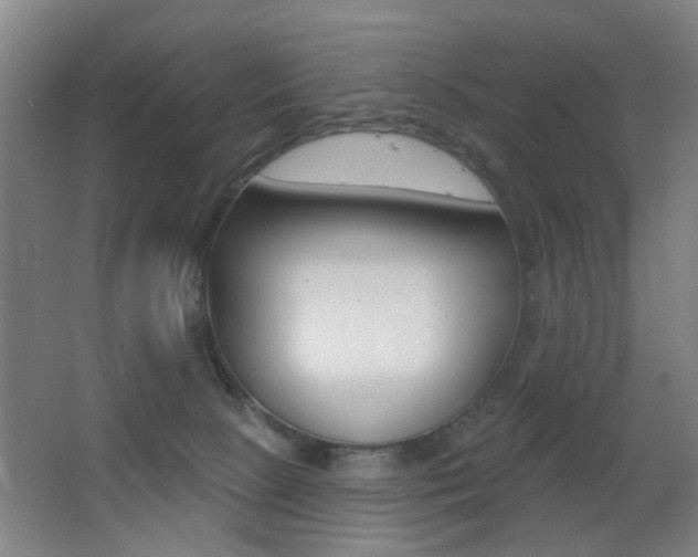 X0000062890081200601131028