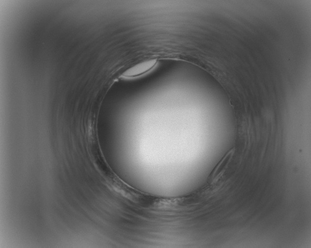 X0000062890084200601131028