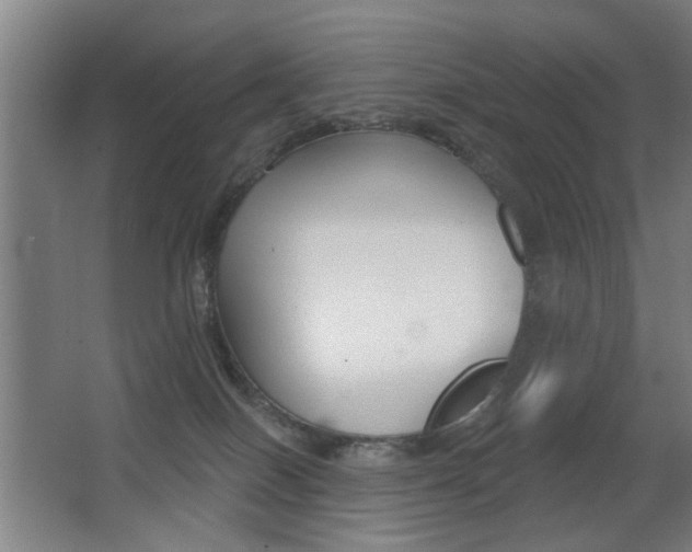 X0000062890086200601131028