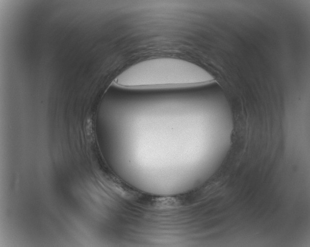X0000062890087200601131028
