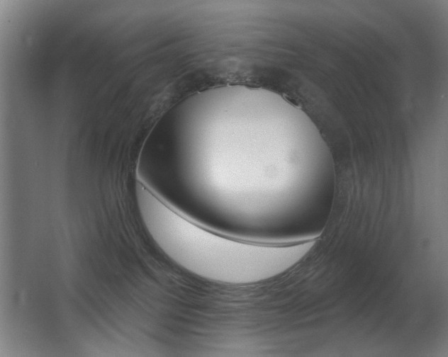 X0000062890088200601131028