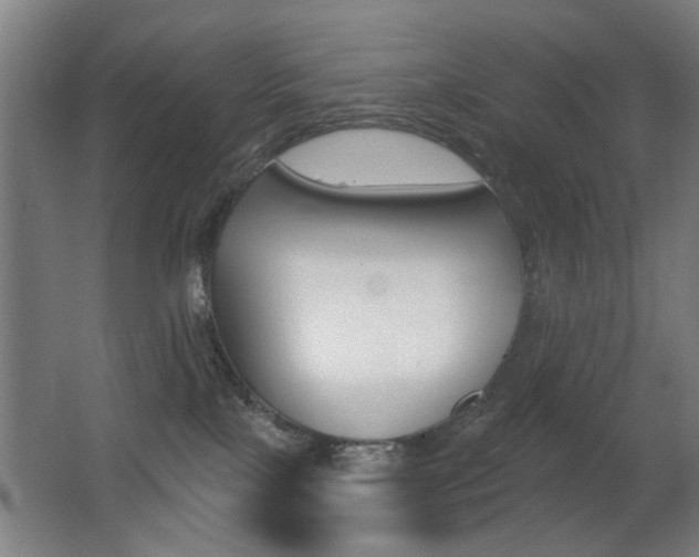 X0000062890089200601131028