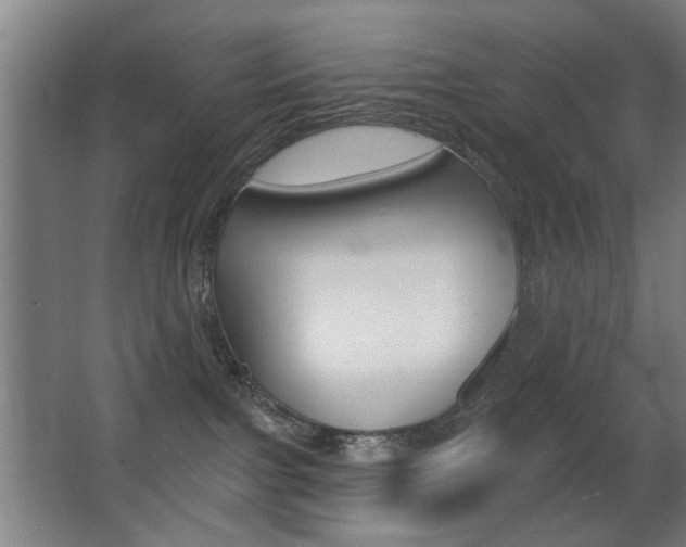 X0000062890091200601131028