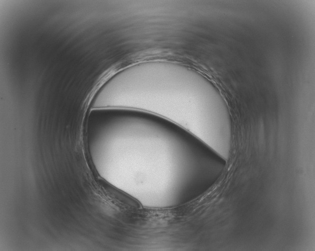 X0000062890099200601131027