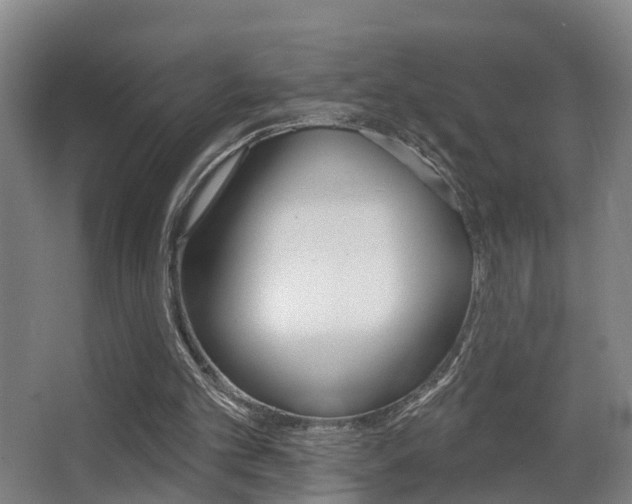 X0000062890101200601131027