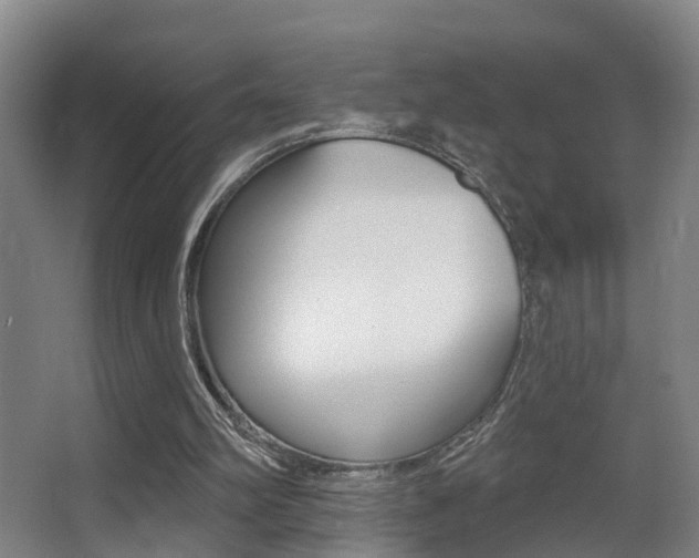 X0000062890102200601131027