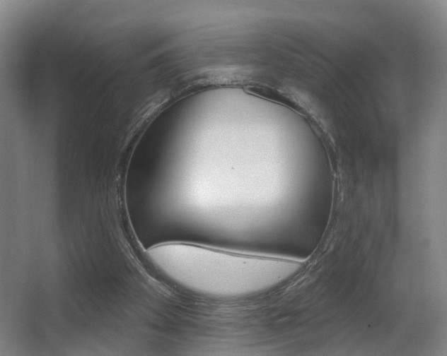 X0000062890105200601131027
