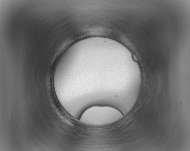 X0000062890106200601131027
