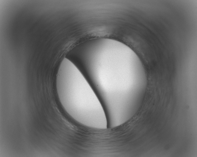 X0000062890114200601131027