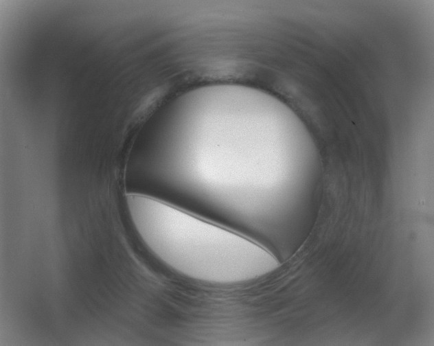 X0000062890115200601131027