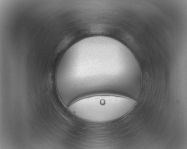 X0000062890116200601131027