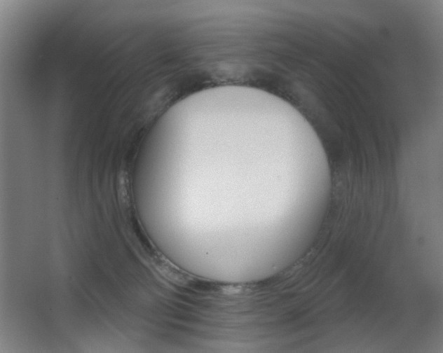 X0000062890130200601131027