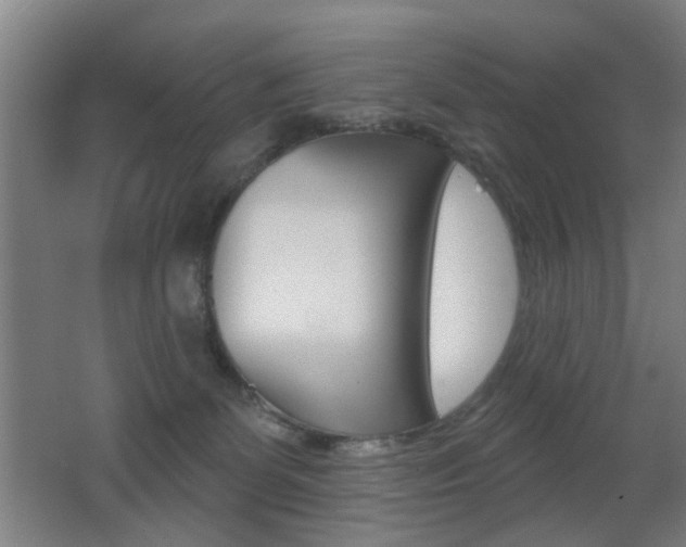X0000062890131200601131027